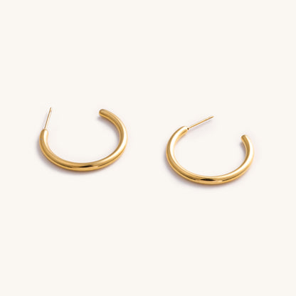 Tessa Tube Hoops