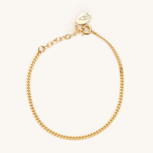 Reagan Gold Filled Chain Bracelet